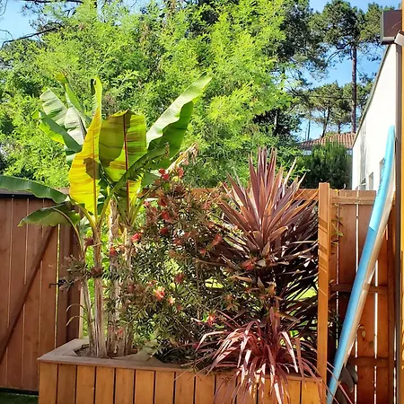 La Du Jardin - 5 Etoiles Soorts-Hossegor