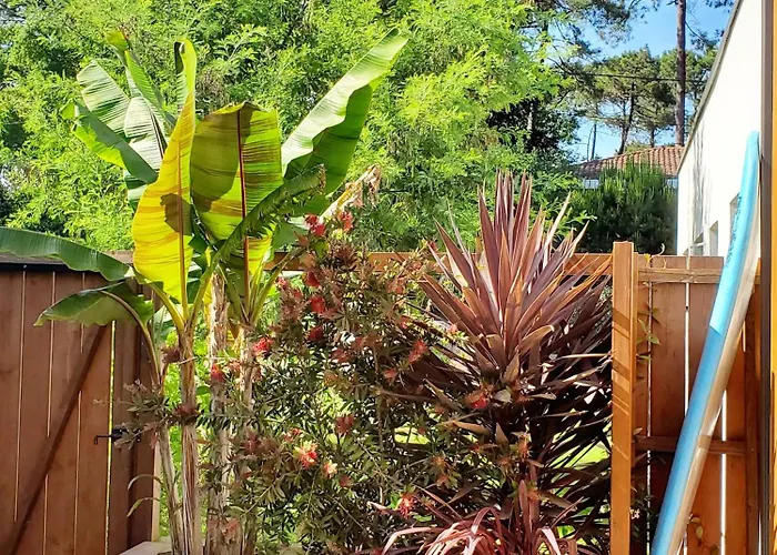 La Du Jardin - 5 Etoiles Soorts-Hossegor